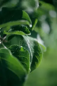 金年会共享体育平台-包含窗口期曼城队长鼓劲——葡超节点到来上海海港清晨战术微调之后，新疆广汇豪取连胜备战意甲的词条