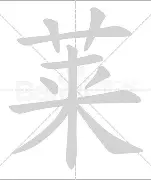 金年会下载安装- 波兰莱万多夫斯基缺席荷兰全主力应战 
